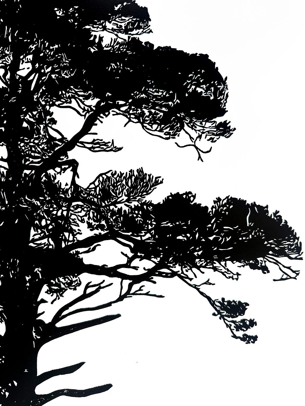 Thumbnail: Handprinted Scots Pine Linocut Print