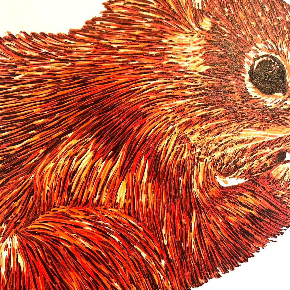 Thumbnail: Handprinted Reduction Linocut Print - Red Squirrel