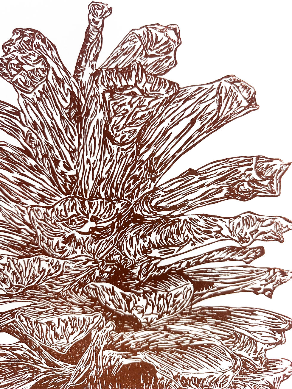 Thumbnail: Handprinted Pinecone Linocut Print