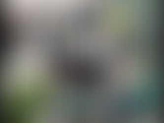 ДЕНЬ СВЯТОГО ПАТРИКА 2023