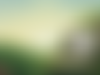 Your Guide to a Ui/Ux career path