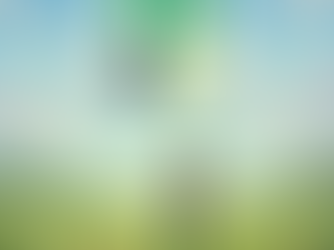 Begin Your Career in UI/UX Design Today