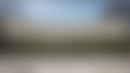 🙏🏾 I GOT ACCEPTED 🙏🏾