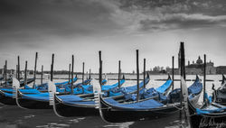 DSC_1570 - copie