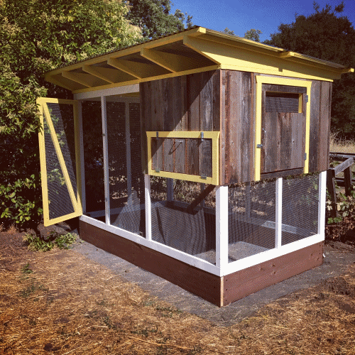 Customized Coops United States