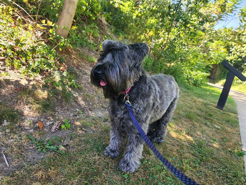 Out for a stroll 
