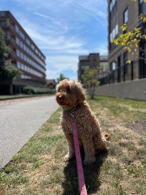 Waterfront walks are the best