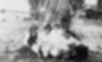 Enjoying a picnic at Bongaree ca1916.