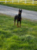image9.jpeg
