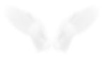 Angel wings isolated on white background with clipping part_edited.jpg