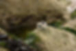 Gemwaith Gwyr, organic jewellery