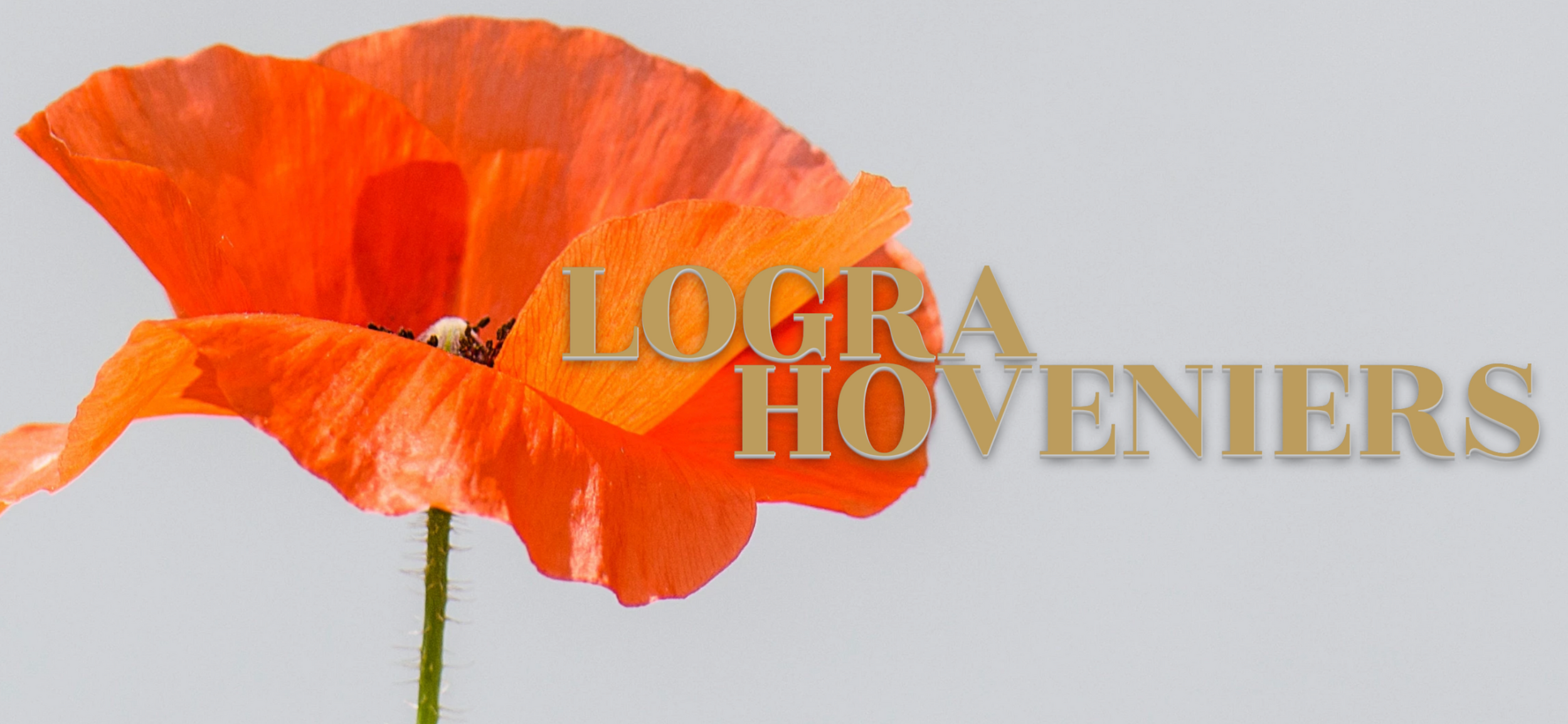 (c) Lograhoveniers.nl