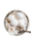 Coconut Ice-cream