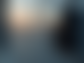 Programming Hormann Garage Door Remotes: Hormann Remote Programming Steps