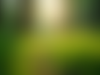 The Balanced Civilization: A Sustainable Future