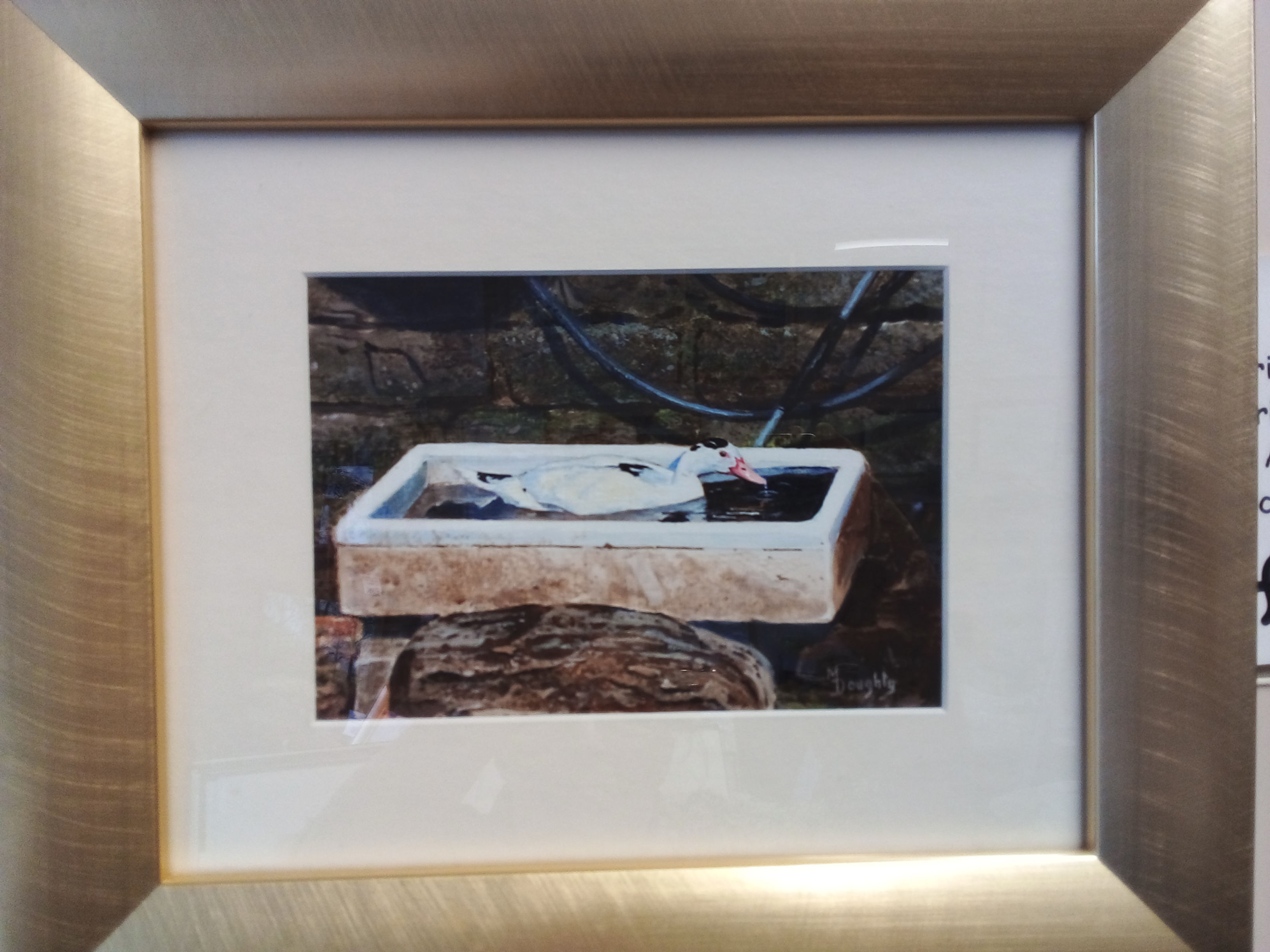 Malcolm Doughty "Private Pool"