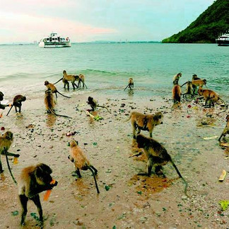 KOH KHRAM ISLAND