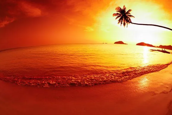 sunset