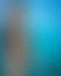 private yacht charter