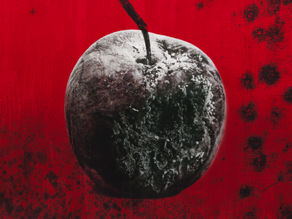 Rock/Metalcore Band SILOS Releases New Single “Black Mold” feat. Escape The Fate’s Craig Mabbitt!