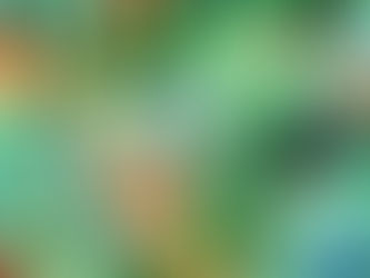 Paddle the Bay success