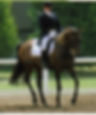 Canter Pirouette