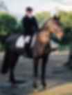 July glenbrae 2003 standing