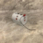 500 Gallon Fuel Barrel