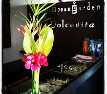 Blue Ocean Garden is a small resort located on Haad Chao Pao beach in Koh Phangan, Thailand. Resort and Spa Koh Phangan