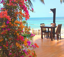 Blue Ocean Garden is a small resort located on Haad Chao Pao beach in Koh Phangan, Thailand. Resort and Spa Koh Phangan
