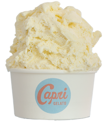 vanilla custard gelato in a cup