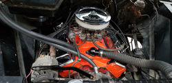 c10-1