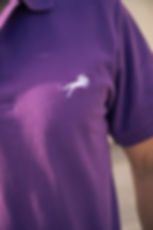 Men's Purple Polo Shirt