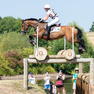 horse jumping a fence 