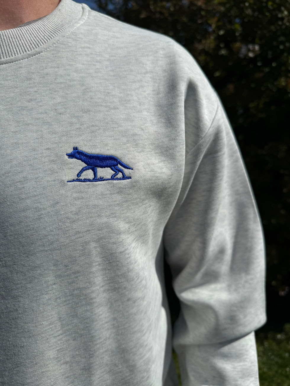 Thumbnail: Men's Grey British Columbia Crewneck Jumper