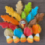 Thanksgiving Cookie Decorating Class - Nov 22nd, 2025, 2-4pm
