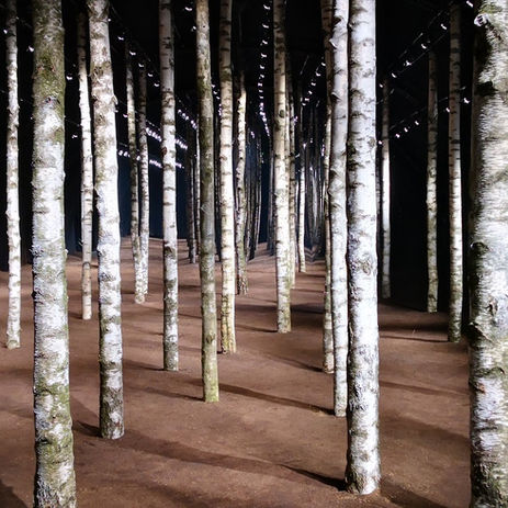 tronchi di betulla tagliati su misura per sfilata Moncler settimana della moda donna a Milano