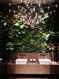 parete verde verticale muro vegetale