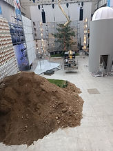 montagna di terra e pino marittimo per stand fuorisalone