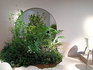 piante da giardino inglese