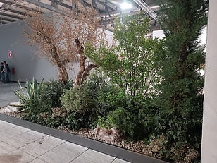 melograno sughera agave e sassi per stand fiera milano