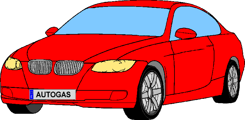 CARS GAS MOTOR SERVICE-AUTOGAS MADRID