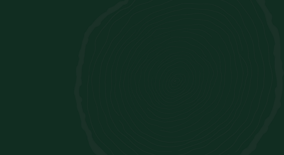 WebBackground_TreeRing.png