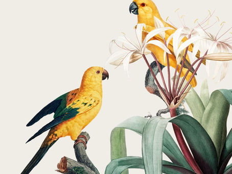 The Essence of the Wild: Elevate Your Space with Expressive Animal Art!