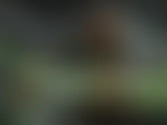 Action Surge in Dungeons and Dragons 5e