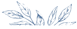 HM-icon-up.png