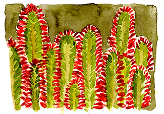 Succulent watercolor lori burt. Lovely botanical watercolor
