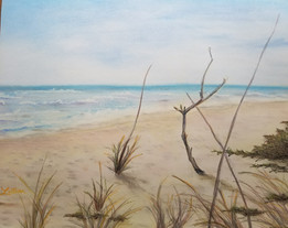 Surf and Sand.