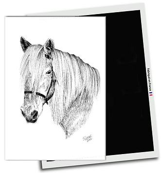 Magnet cheval