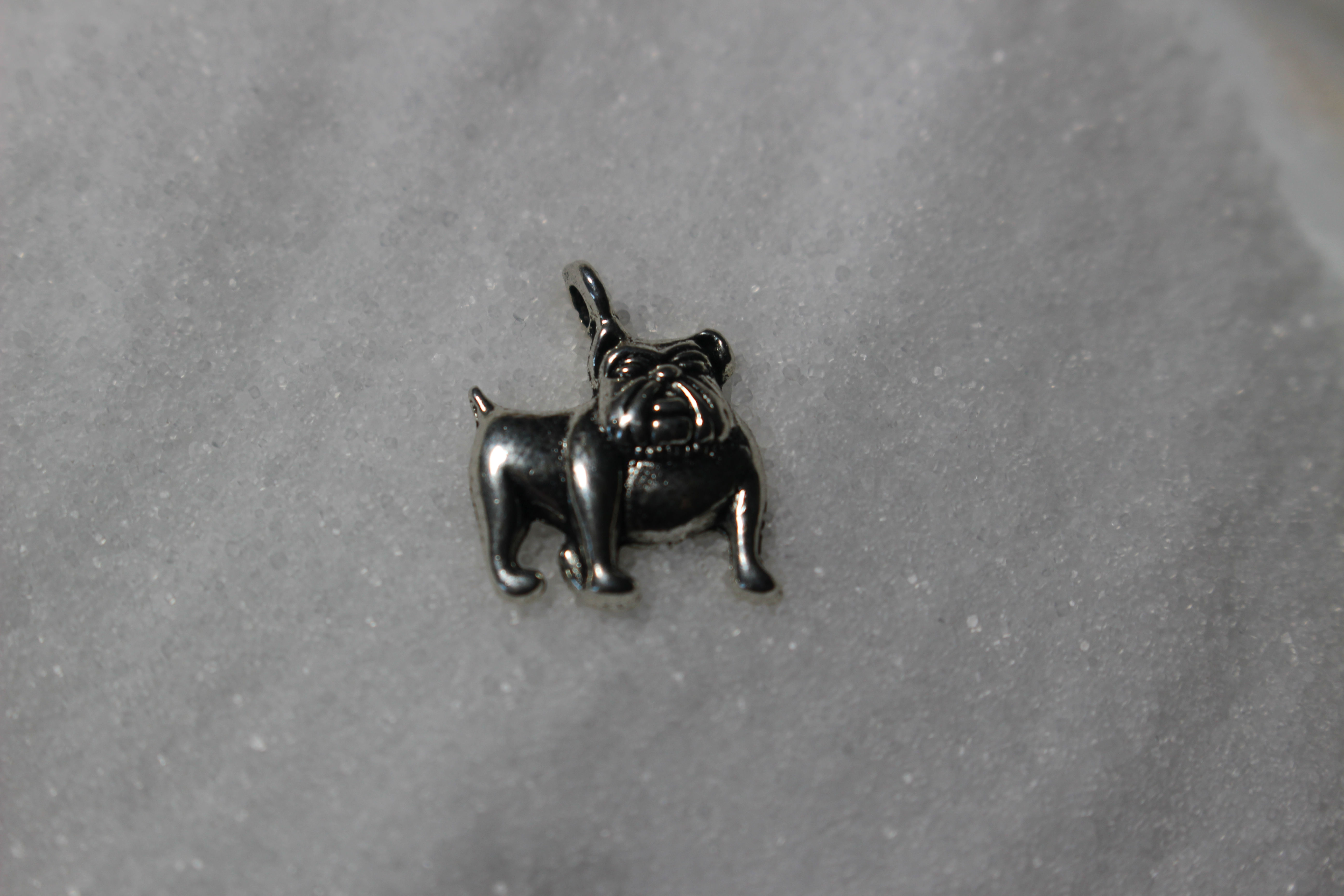 Bulldog Charm
